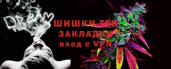 дмт Лиски