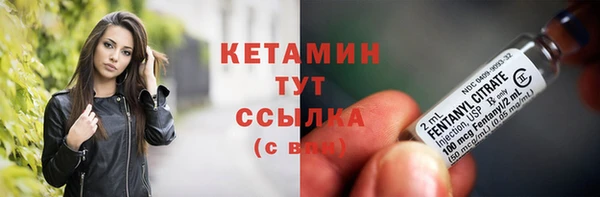 дмт Лиски