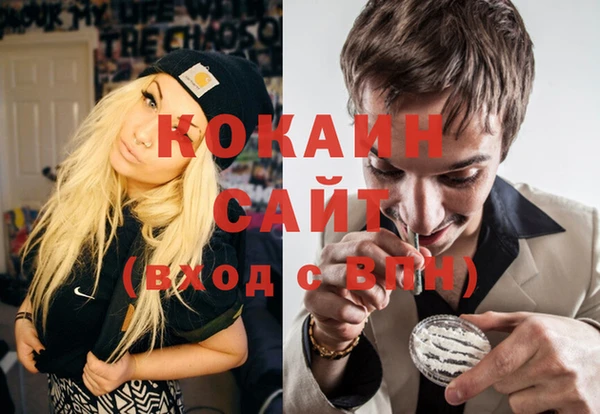 гидра Майский