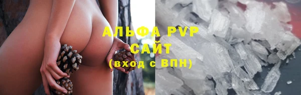 ECSTASY Кондопога