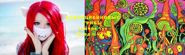 спайс Магас