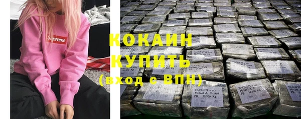 PSILOCYBIN Ладушкин