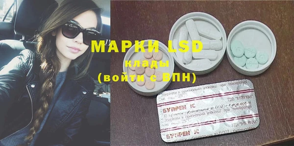 гидра Майский