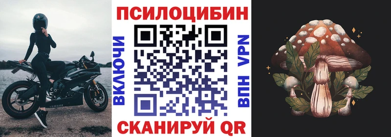 магазин наркотиков Михайловка кракен ссылки Галлюциногенные грибы Psilocybine cubensis