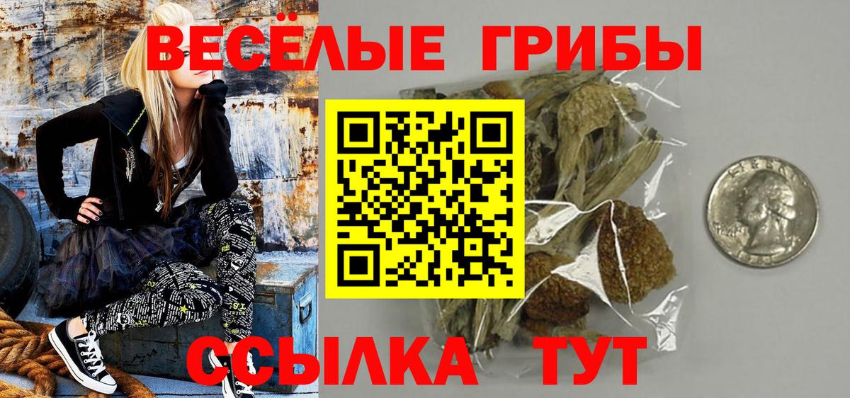 Псилоцибиновые грибы MAGIC MUSHROOMS Михайловка
